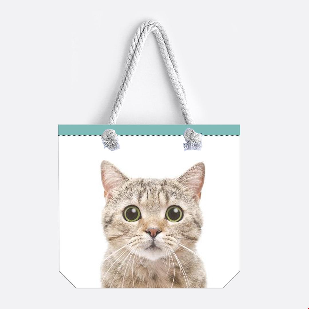 kedi çanta